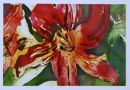 Lilies 2.